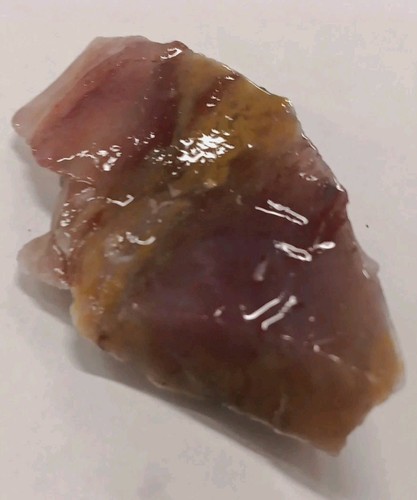 Agatized petrified wood - agatized,